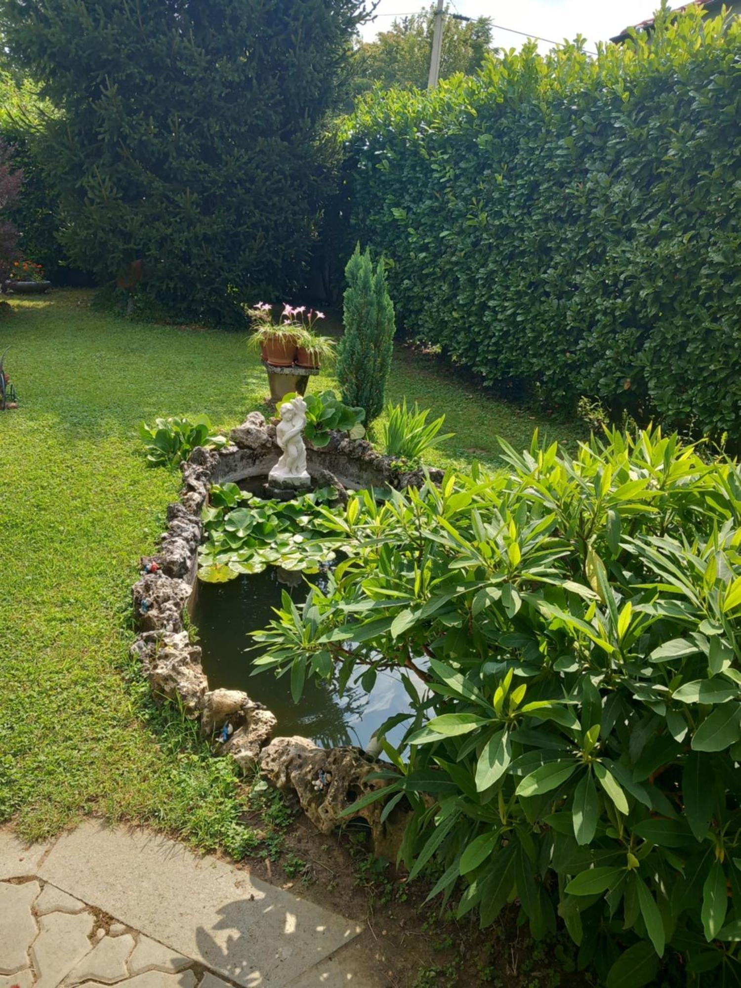 Il Laghetto Bed & Breakfast Torre Canavese Eksteriør bilde