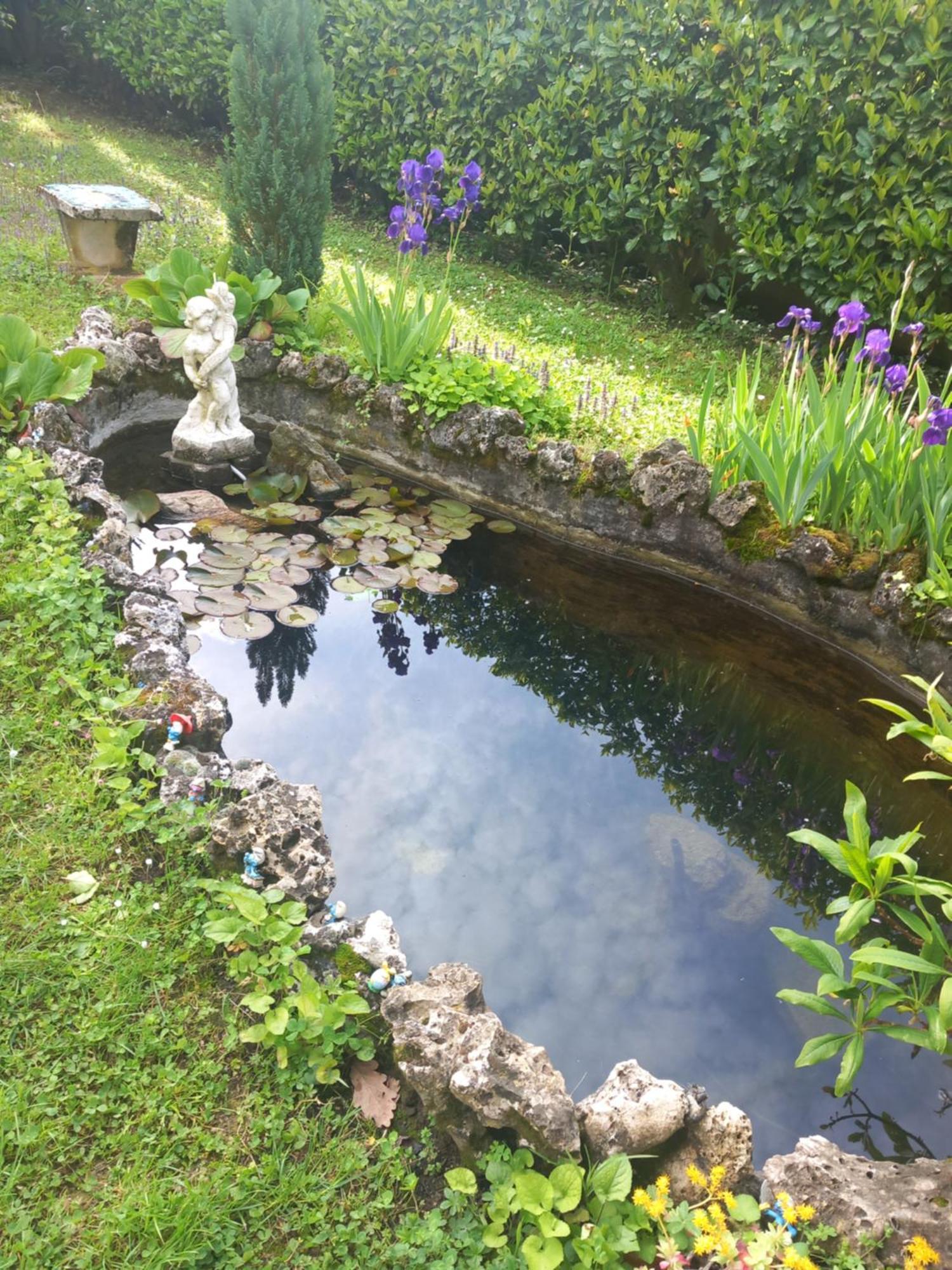Il Laghetto Bed & Breakfast Torre Canavese Eksteriør bilde