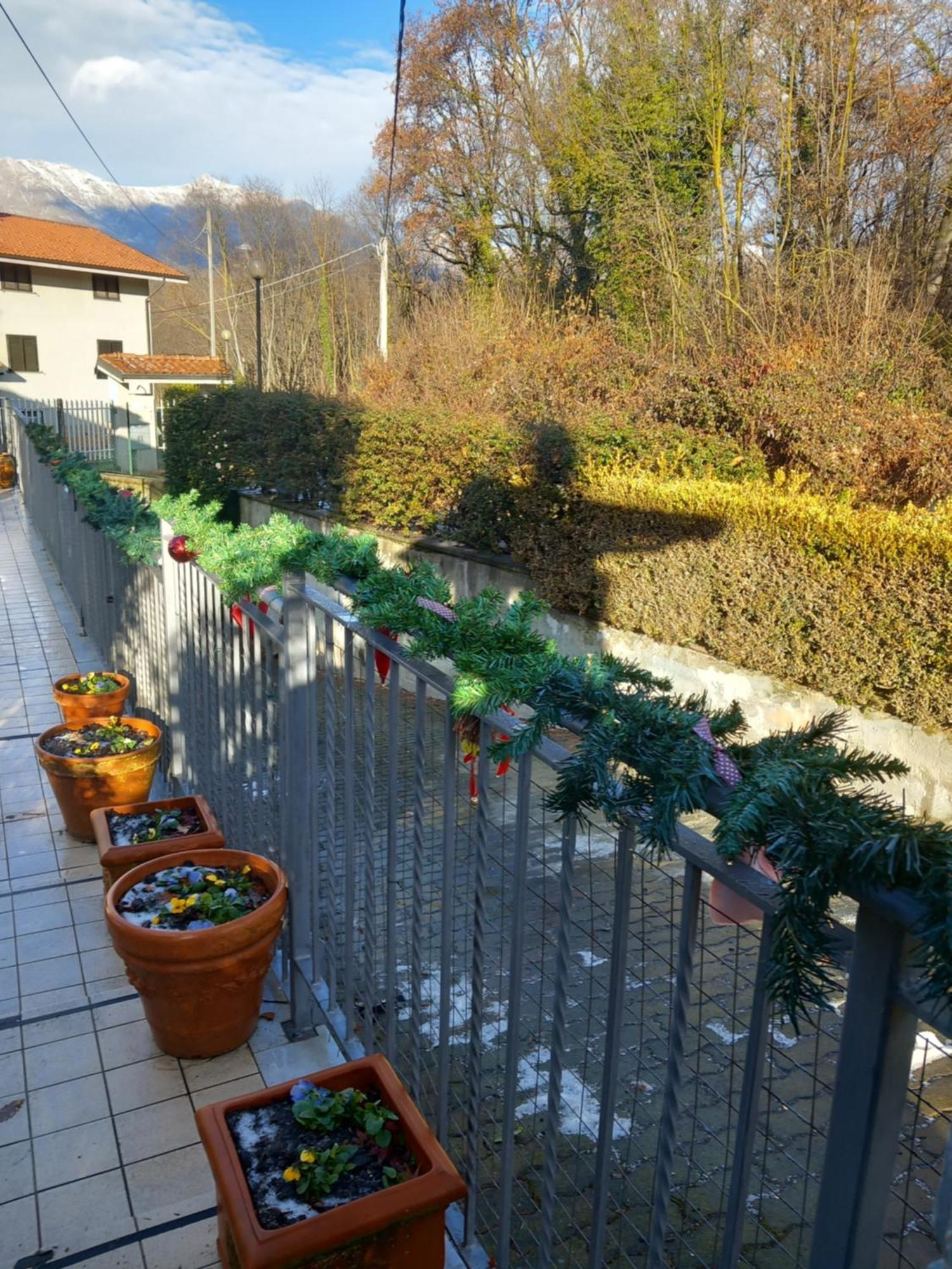 Il Laghetto Bed & Breakfast Torre Canavese Eksteriør bilde