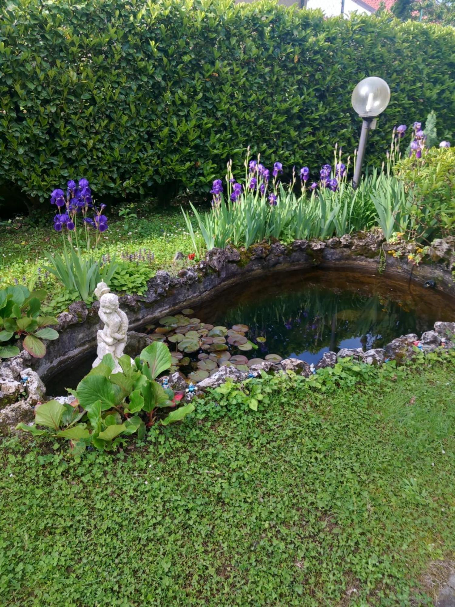Il Laghetto Bed & Breakfast Torre Canavese Eksteriør bilde